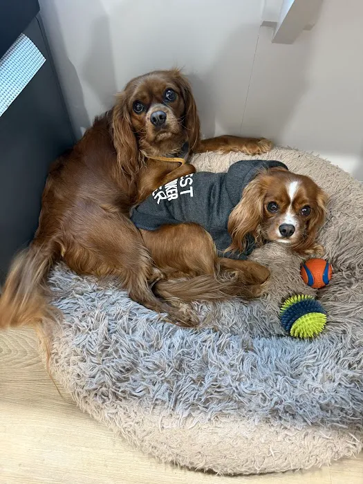 Fairview Animal Clinic 9