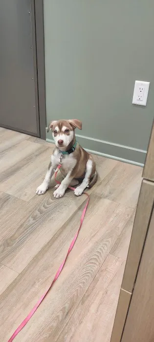 Fairview Animal Clinic 1