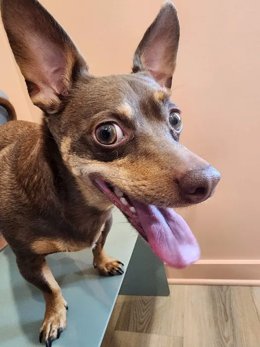 Fairview Animal Clinic 4