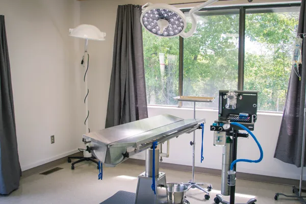Dickson Veterinary Clinic 9