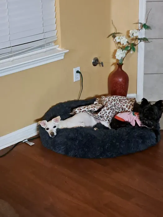 Dogwood Animal Clinic 2