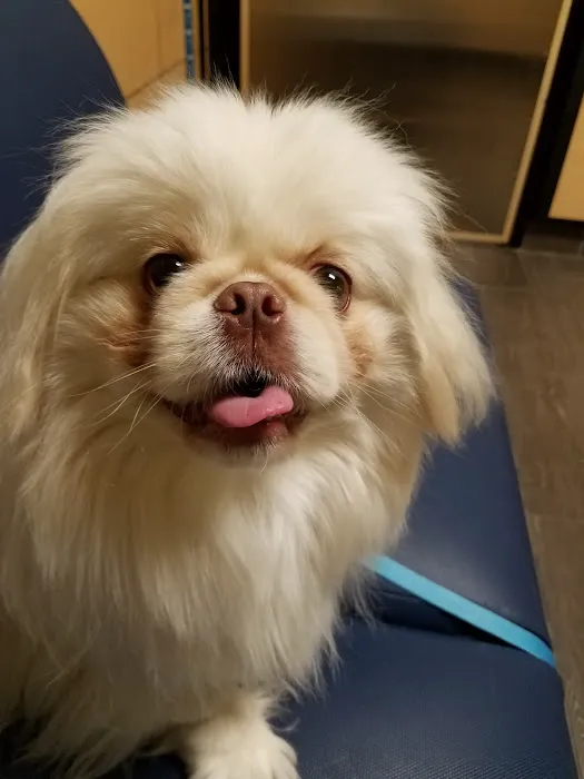 Banfield Pet Hospital 4