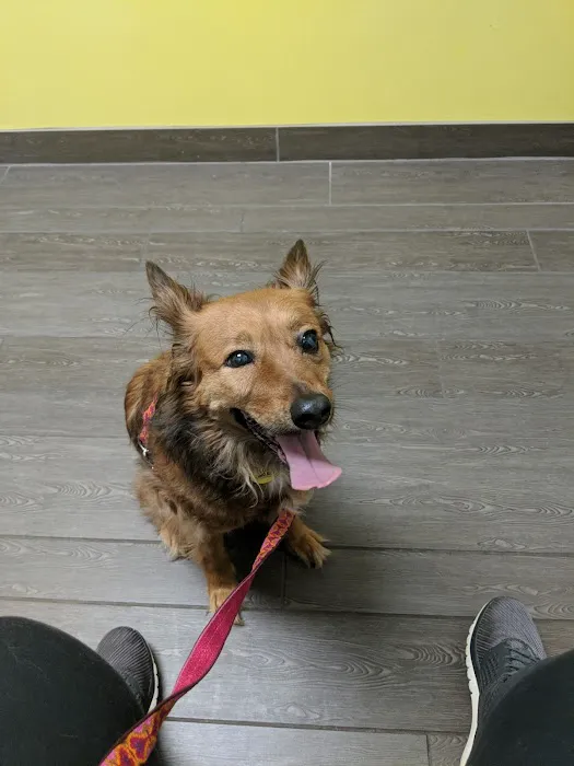 Banfield Pet Hospital 6