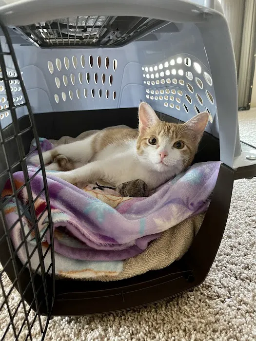 Animal Care Clinic 1