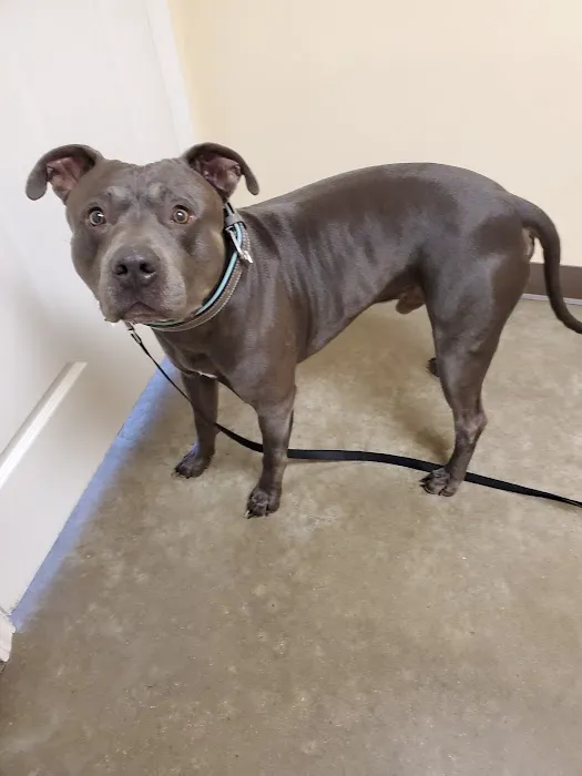 Highway 79 Animal Clinic 1