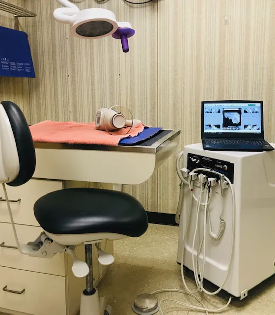 Highway 79 Animal Clinic 10