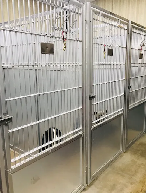 Highway 79 Animal Clinic 6