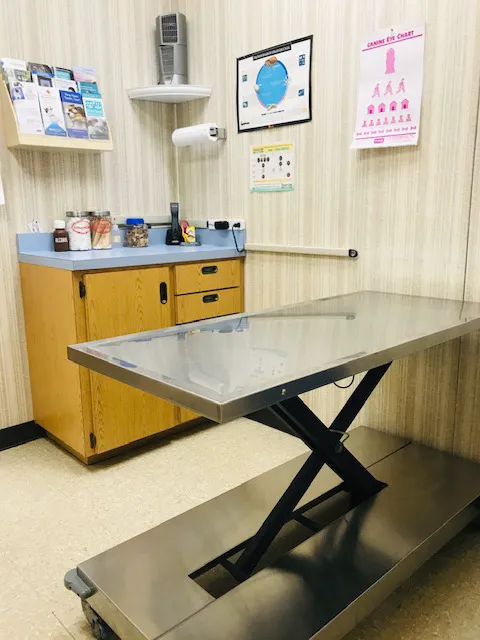 Highway 79 Animal Clinic 4