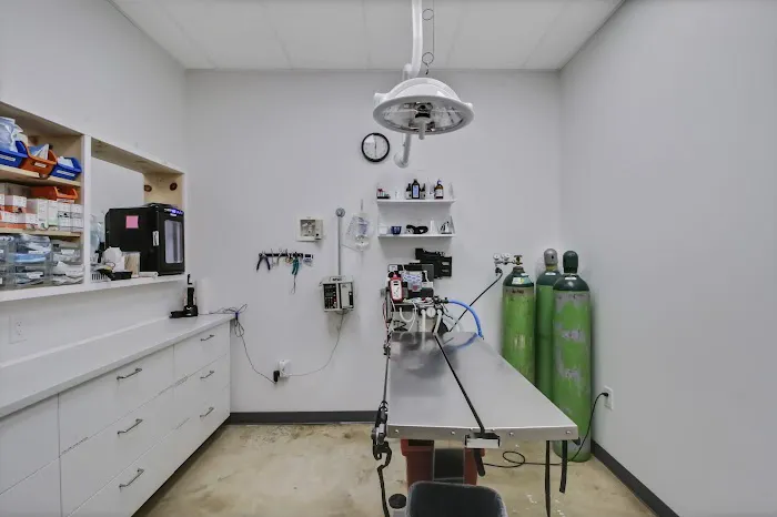 Sam Bass Veterinary Wellness 5