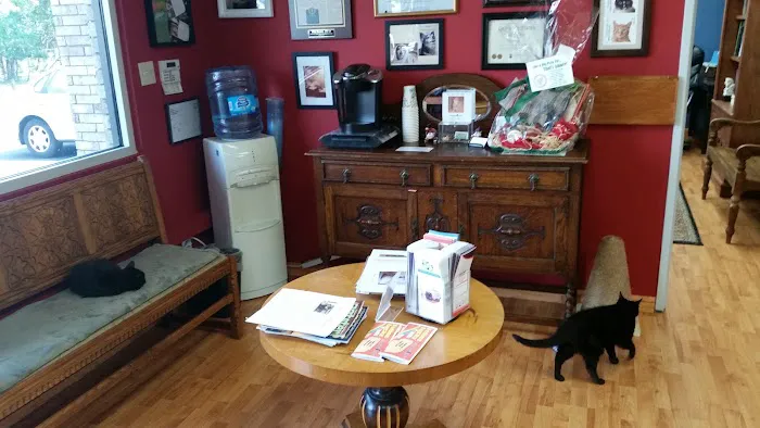 Central Texas Cat Hospital - MERGED W/ SAM BASS VETERINARY WELLNESS 8