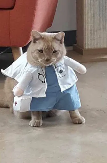 Central Texas Cat Hospital - MERGED W/ SAM BASS VETERINARY WELLNESS 10