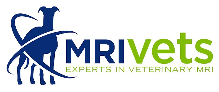 MRI Vets 6
