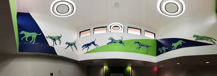 MRI Vets 4