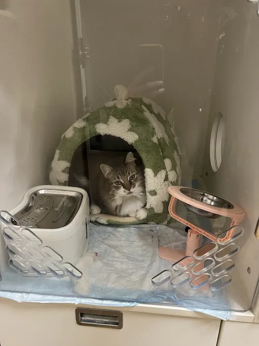 Sage Veterinary Imaging - Round Rock 7