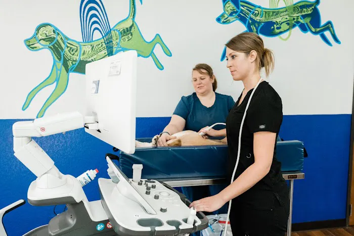 Sage Veterinary Imaging - Round Rock 6