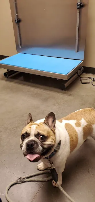 Round Rock Animal Hospital 7