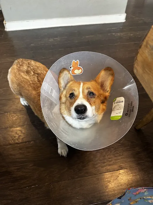 Round Rock Animal Hospital 6