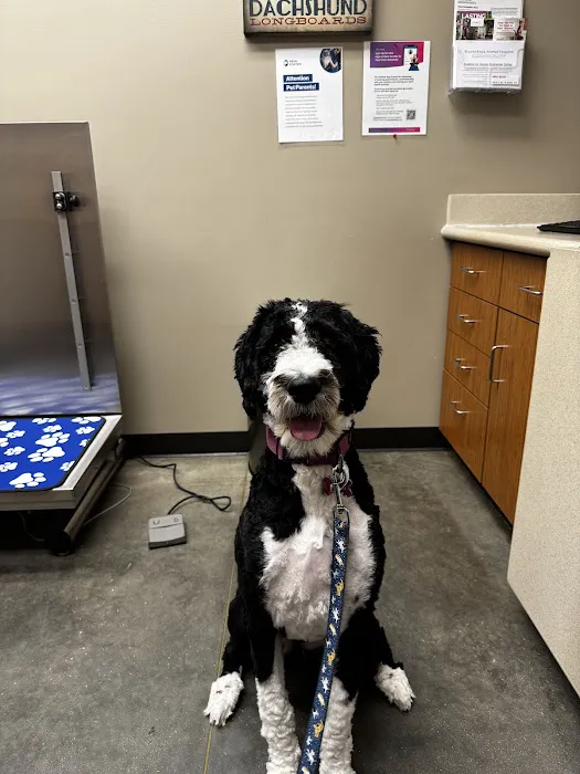 Round Rock Animal Hospital 9