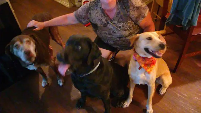 Round Rock Animal Hospital 8