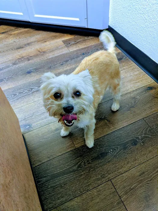 Great Oaks Animal Hospital 10