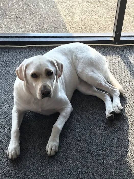 Great Oaks Animal Hospital 9
