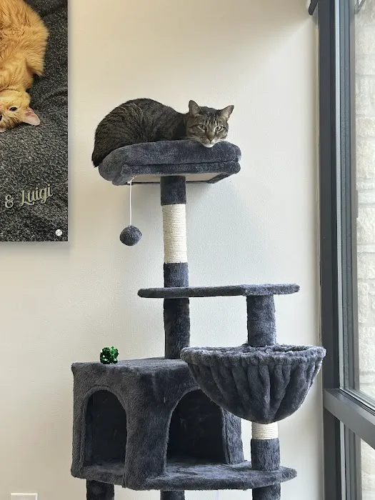 CityVet Veterinary Clinic & Urgent Care 1