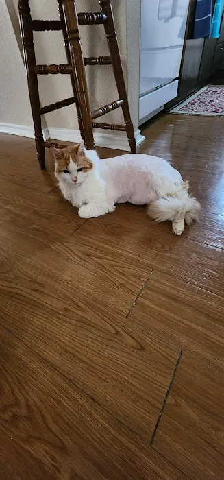 CityVet Veterinary Clinic & Urgent Care 8