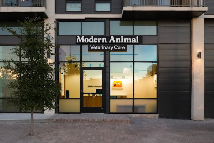 Modern Animal 12