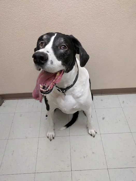 Windsor Park Veterinary Clinic 12