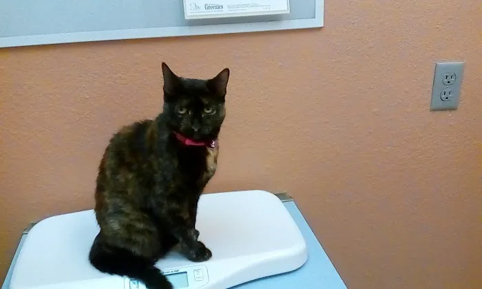 Windsor Park Veterinary Clinic 12