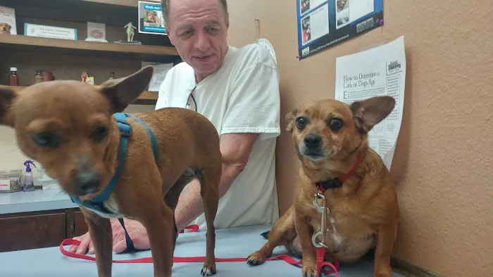 Windsor Park Veterinary Clinic 12