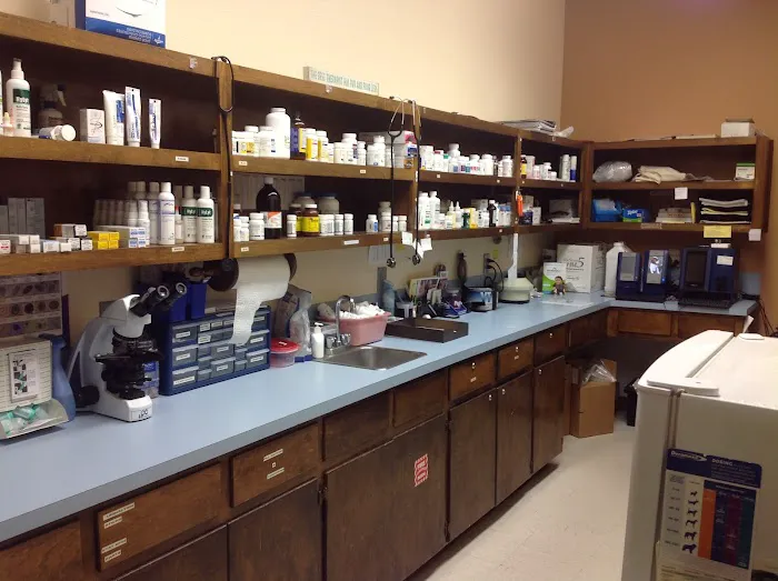 Windsor Park Veterinary Clinic 12