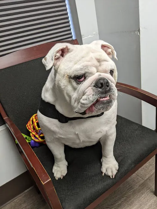 Eye Care for Animals - Austin 4