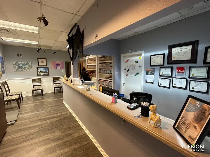 Eye Care for Animals - Austin 5