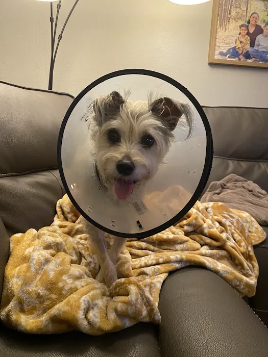 Eye Care for Animals - Austin 10
