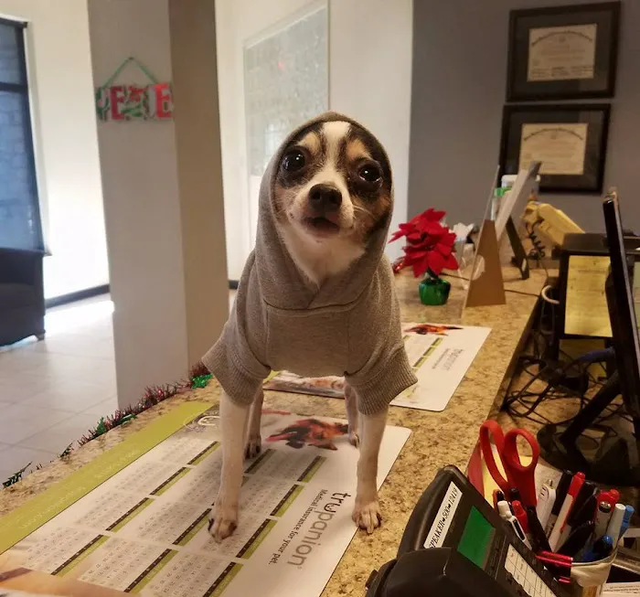 Austin Vet Care at Metric, A Thrive Pet Healthcare Partner 7