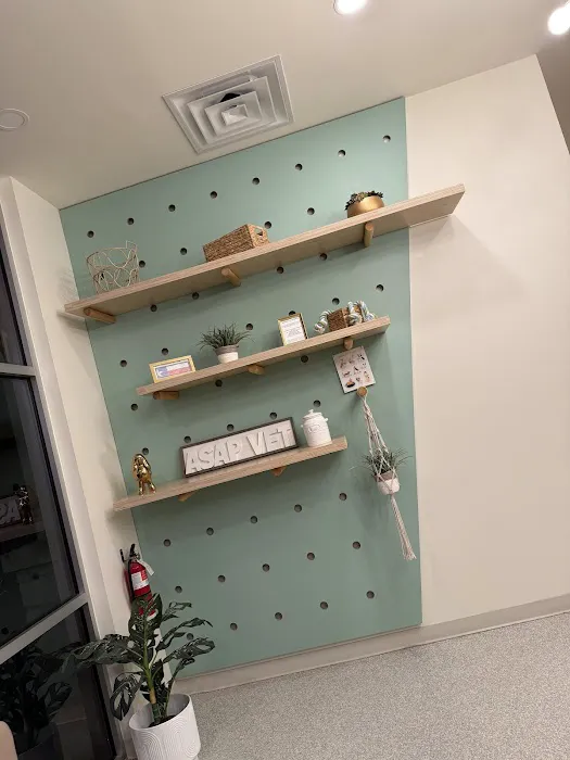 ASAP Vet: Veterinary Urgent Care 5