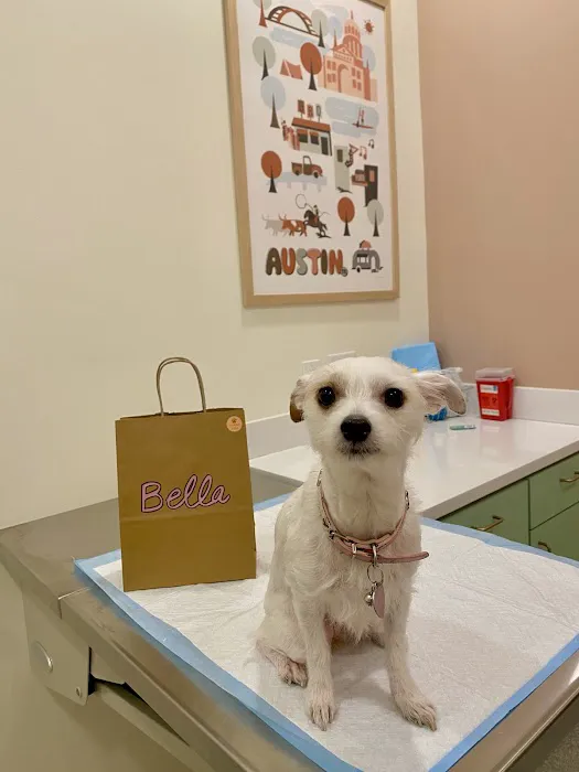 ASAP Vet: Veterinary Urgent Care 6