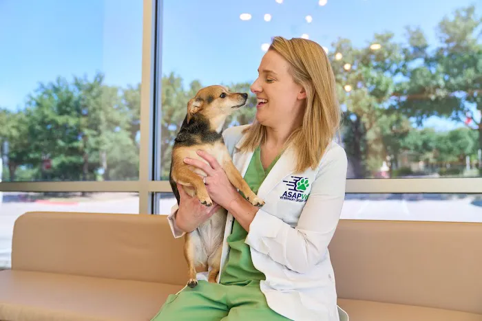 ASAP Vet: Veterinary Urgent Care 7