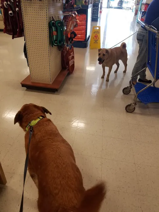 Banfield Pet Hospital 5