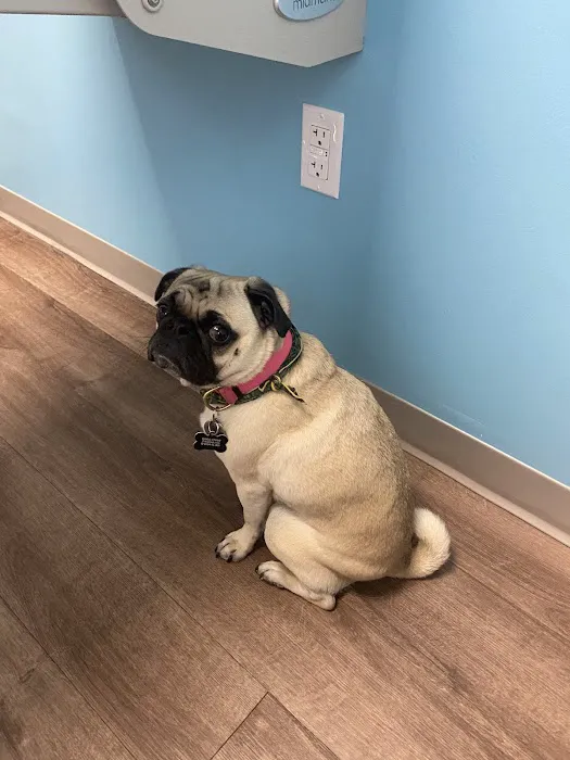 Crestview Veterinary Clinic at Tech Ridge 7