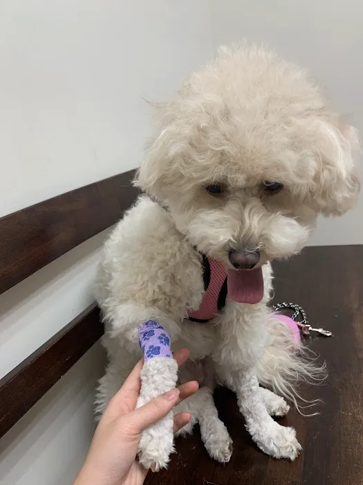 Tech Ridge Pet Hospital 2