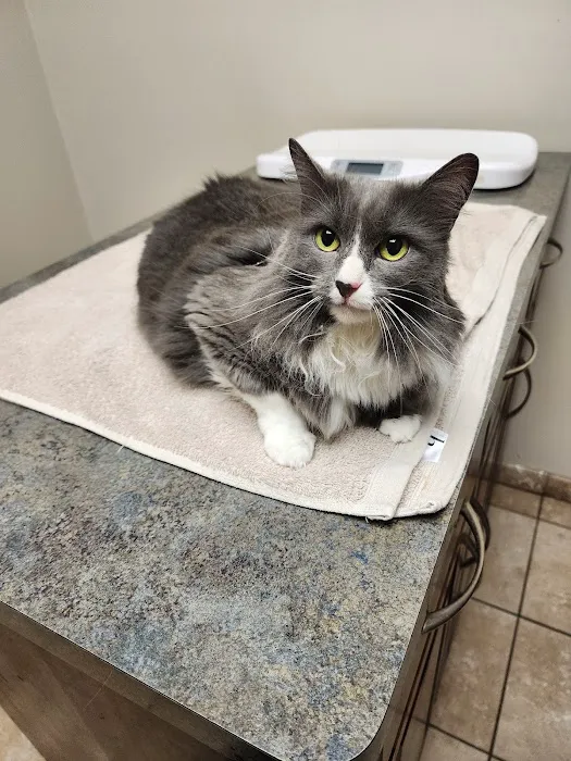 Tech Ridge Pet Hospital 1