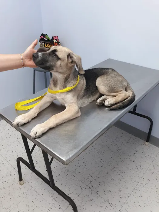 Diamond Hill Animal Hospital 12