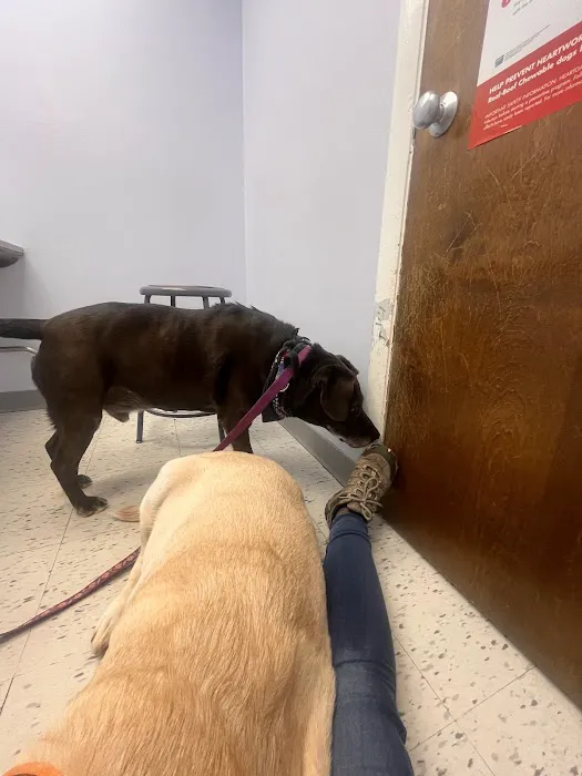 Diamond Hill Animal Hospital 12