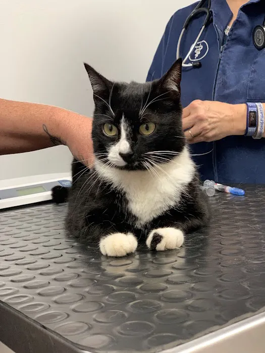 Oak Hill Veterinary Care & Pet Resort 12
