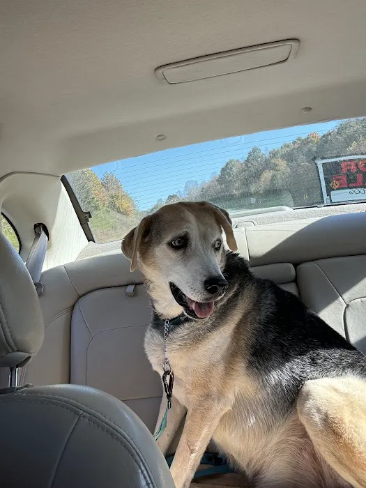 Oak Hill Veterinary Care & Pet Resort 12