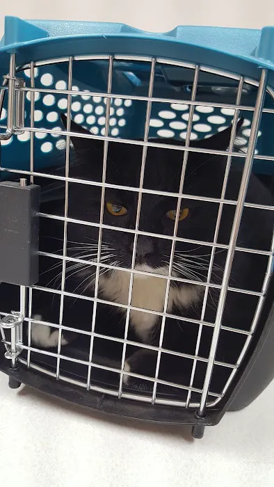 West Valley Veterinary Hospital 1