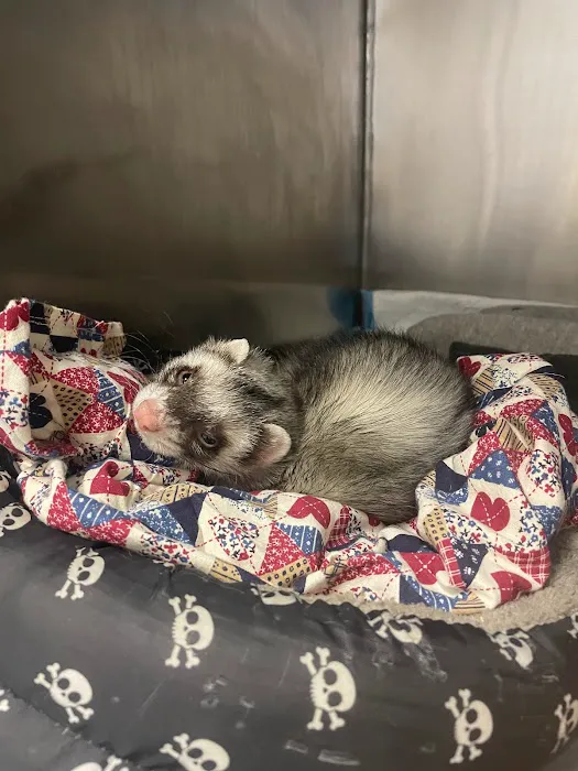Eastgate Veterinary Clinic 12