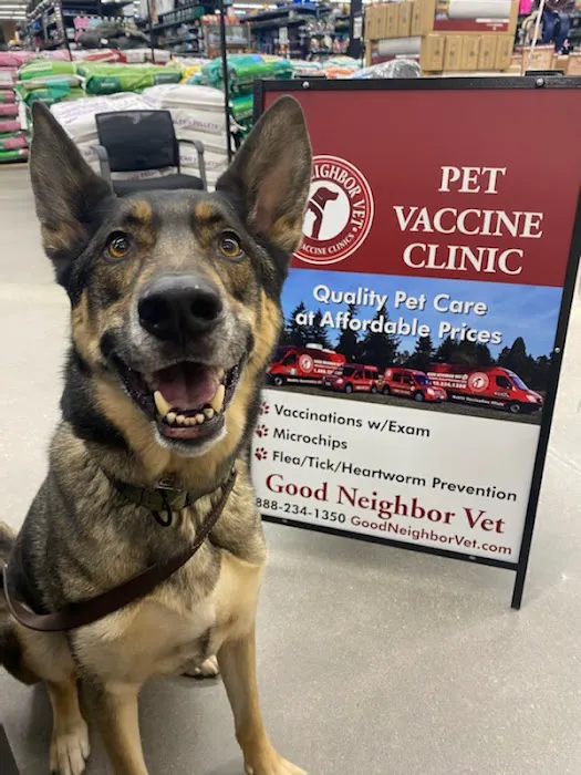 Good Neighbor Vet+ 12